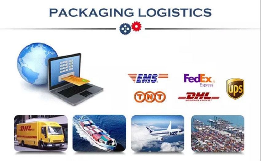 Delivery & Shipping & Service